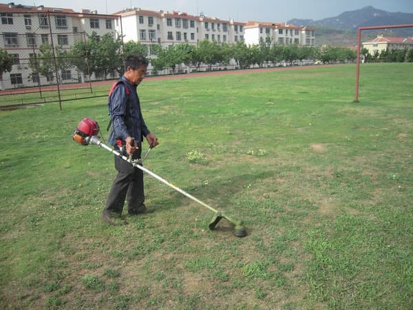 校园绿化管理制度