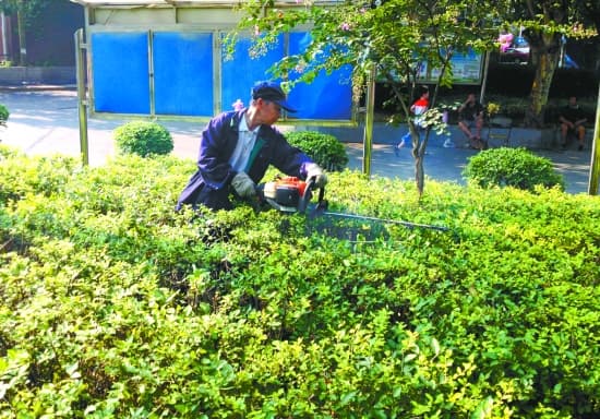 小区绿化检验流程和标准